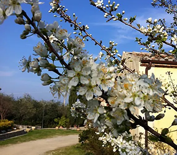 Frangivento Alojamento de Turismo Rural